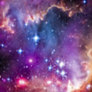 Meet your Posher, Acacia